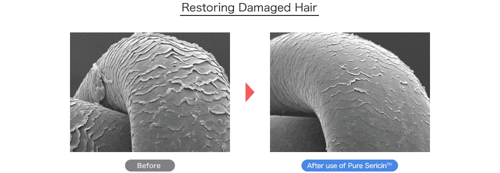 Restoring Damaged Hair