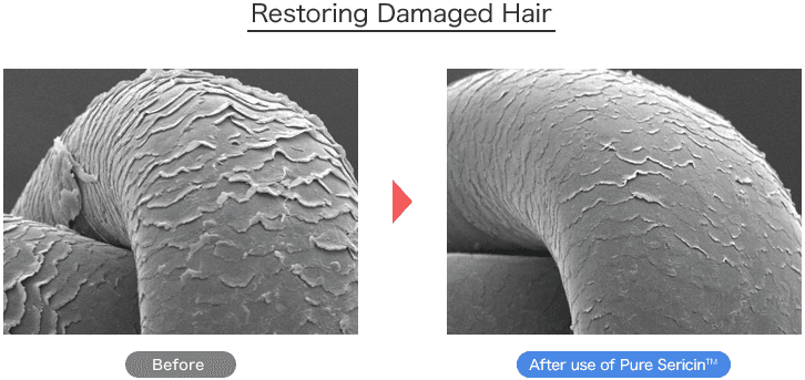Restoring Damaged Hair