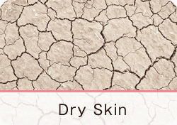 Dry Skin