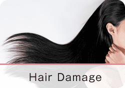 Hair Damage