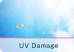 UV Damage