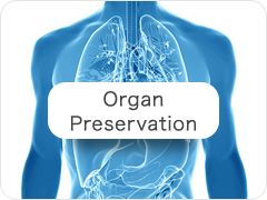 Organ Preservation