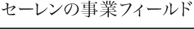 セーレンの事業フィールド