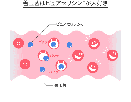 Microbiota Love Pure SericinTM