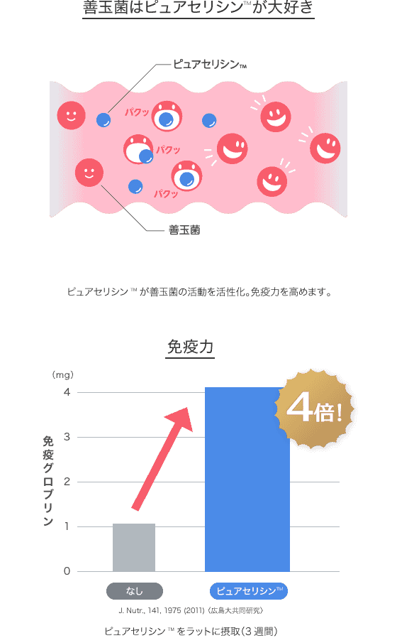 ピュアセリシンの機能