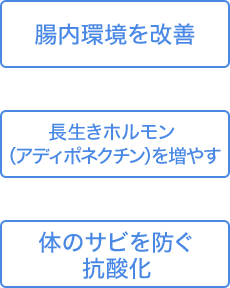 腸内環境を改善、長生きホルモン（アディポネクチン）を増やす、体のサビを防ぐ抗酸化