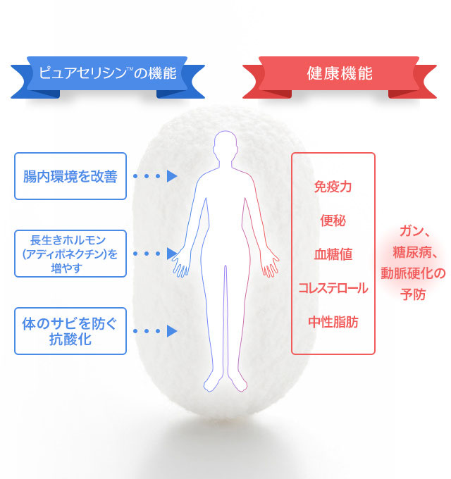 ピュアセリシンの機能