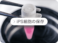 iPS細胞の保存